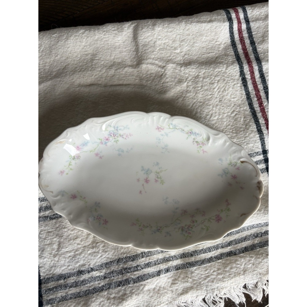 Theodore Haviland Limoges SCHLEIGER Blue Pink Floral Oval Serving Veggie Platter